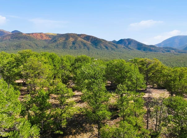 Deer Mesa Road lot: 10, Valdez, NM 87571