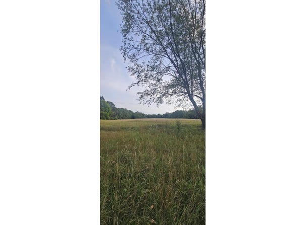 473 Block Road, Coldwater, MI 49036