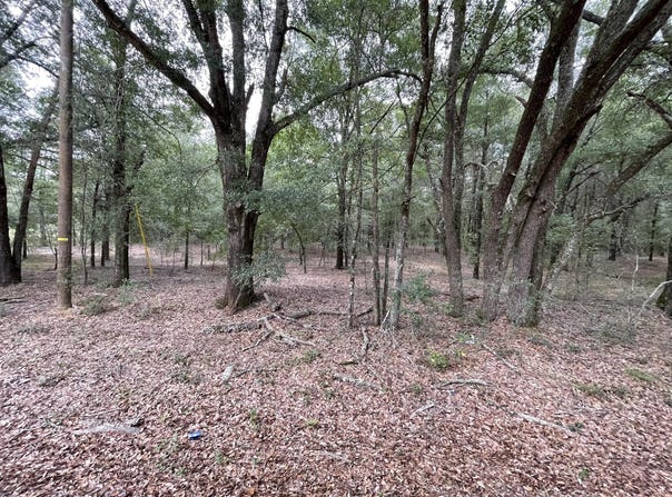 Warbonnet Road, Salley, SC 29137