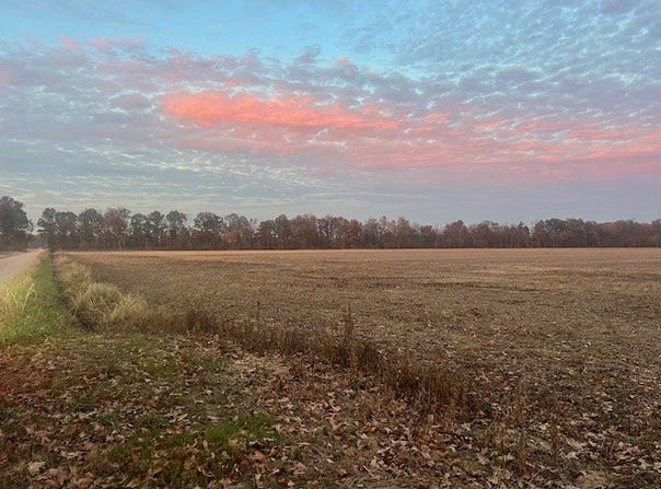 County Road 237, Bloomfield, MO 63825