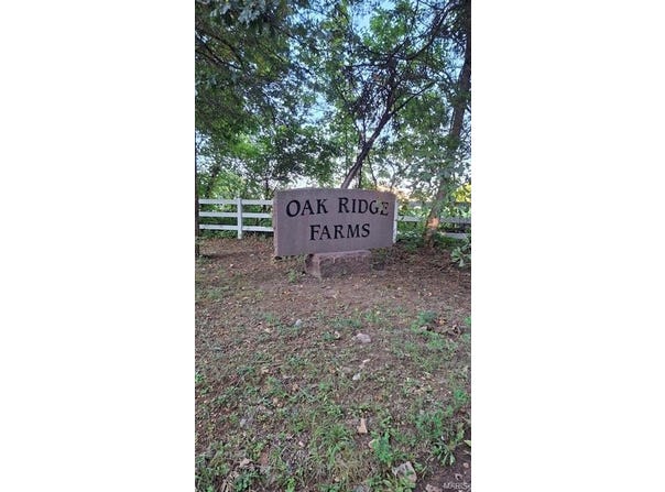 Oak Ridge Dr, Bonne Terre, MO 63628