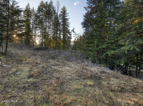 NNA White Cloud, Sandpoint, ID 83864