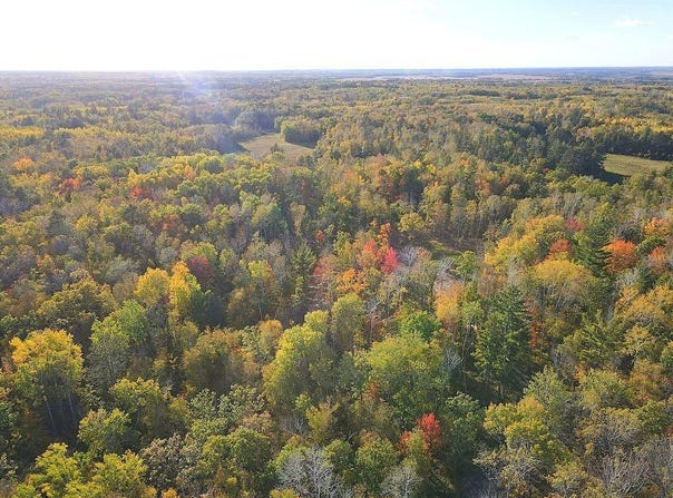 US 71, Park Rapids, MN 56470