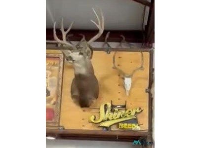 Lindrith, NM 87029