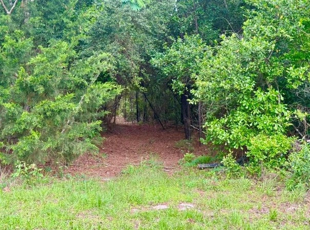 County Road 1375, Warren, TX 77664