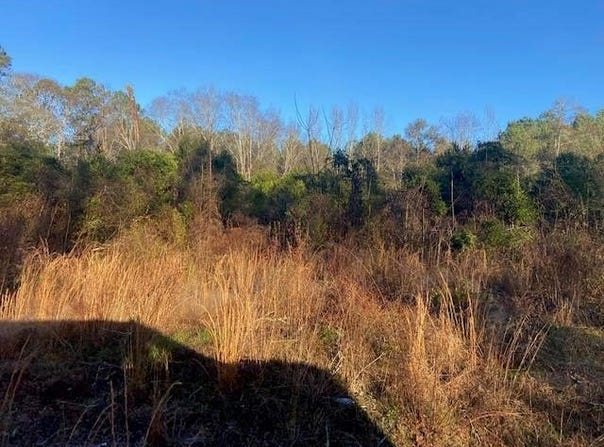 1600 CR 39, PAULDING, MS 39348