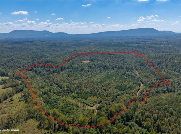 Wright Road, Westfield, NC 27053