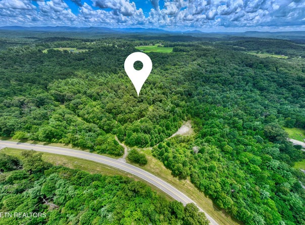 52.88 AC Nashville Hwy, Deer Lodge, TN 37726
