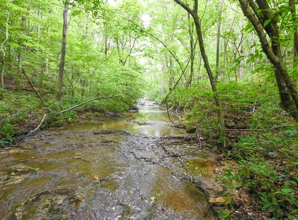 State Hwy 14, Drury, MO 65638