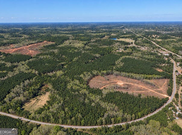 103 ACRES Pobiddy Road, Thomaston, GA 30286