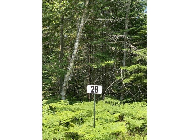THIRD CREEK SUBDIVISION lot: 28, Paradise, MI 49768