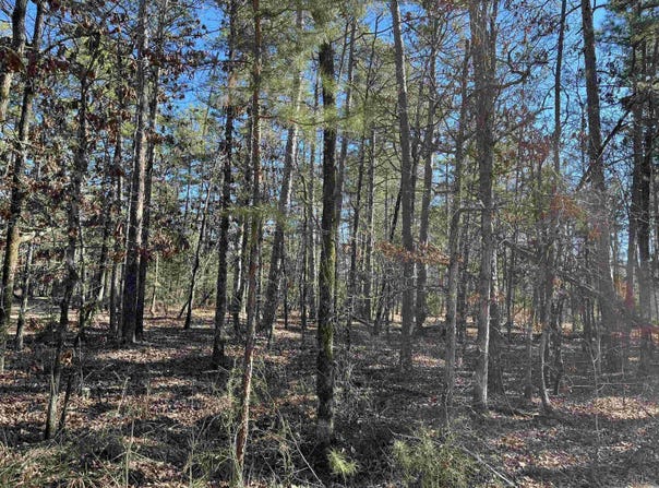 77 Pintuerero Way, Hot Springs Village, AR 71909