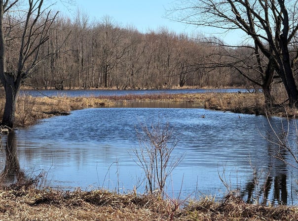 VL E Dowling Road, Dowling, MI 49050