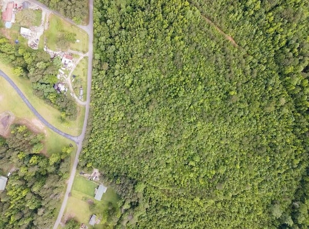 98 Clayton Drive, Bremen, GA 30110