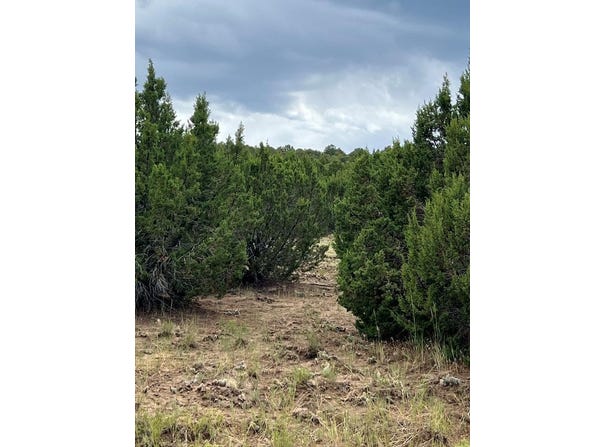 Sunrise Dr, Walsenburg, CO 81089