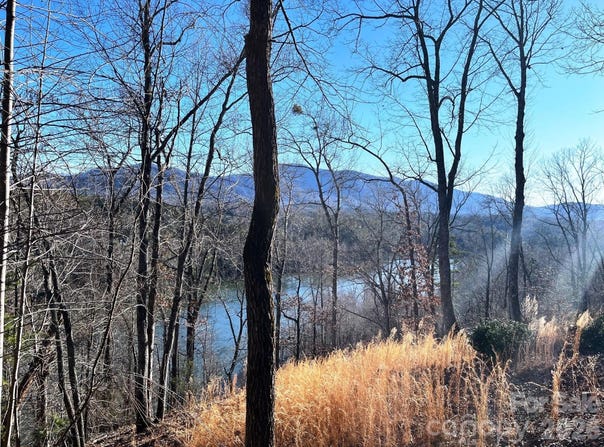 Mountain Parkway lot: 30, Mill Spring, NC 28756