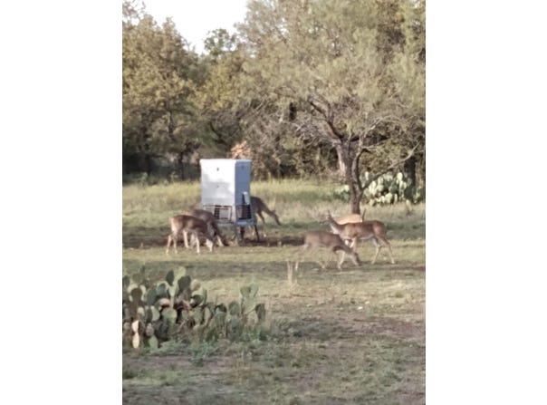 County Road 152, Brady, TX 76825