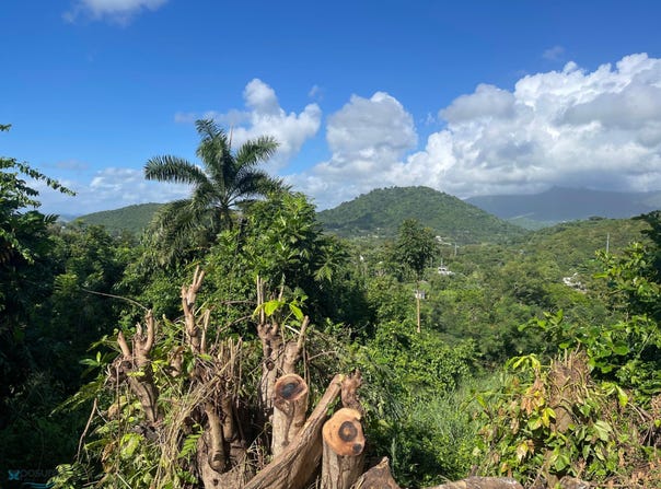 Daguao, Naguabo, PR 00718