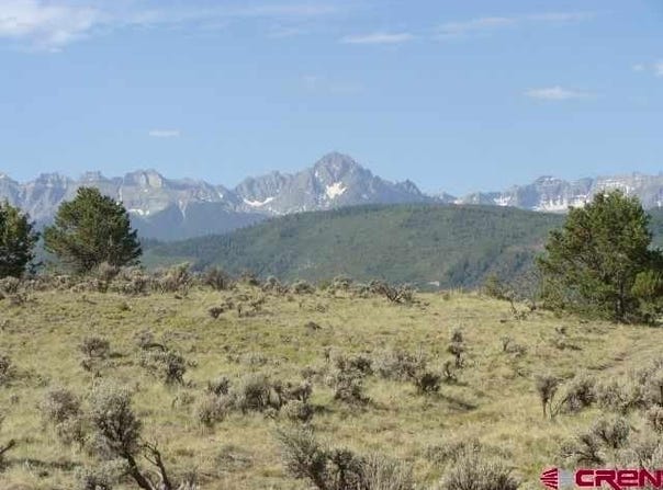 Terrace Drive, Ridgway, CO 81432
