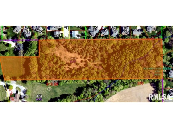 MAIN Street, Chatham, IL 62629
