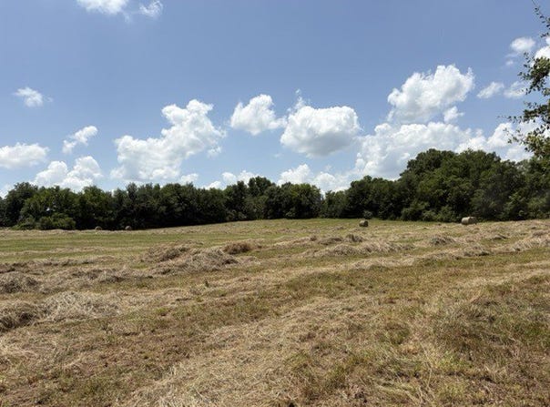 Wallace Mill Rd, Leighton, AL 35646