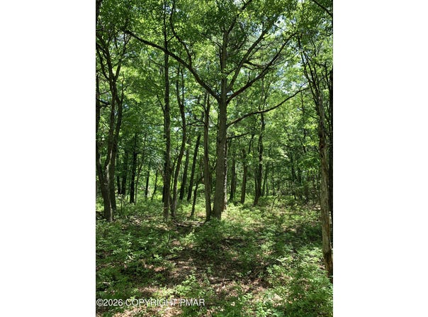 Squirrel Road, Dingmans Ferry, PA 18328