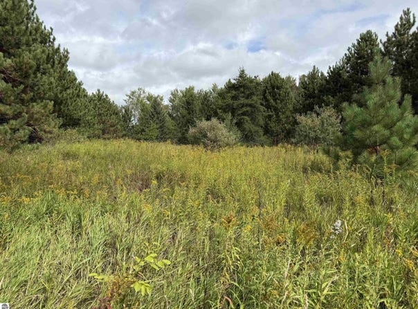 V/L 185th Avenue, Leroy, MI 49655
