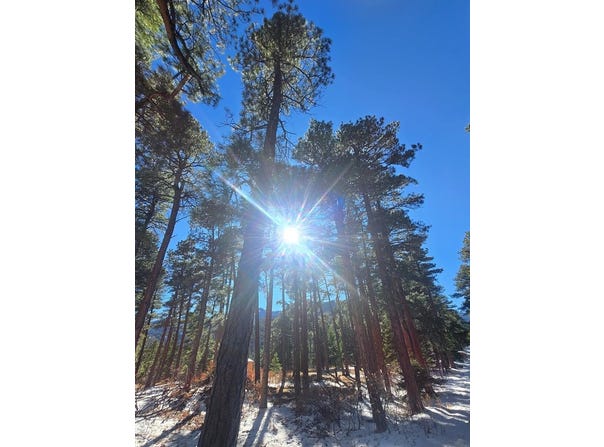 Zorn Rd, Rye, CO 81069