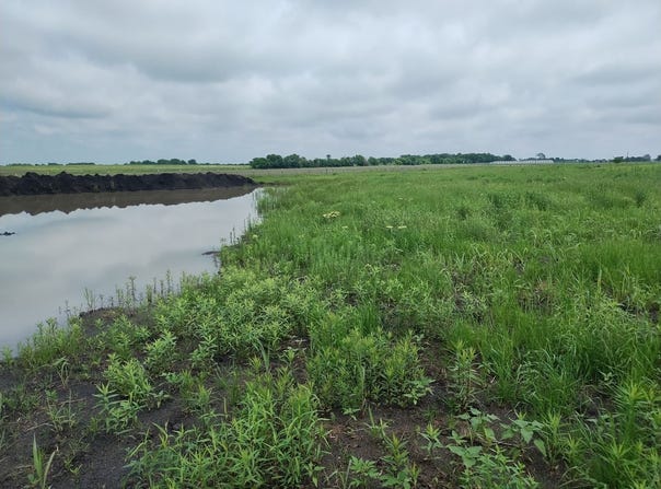 County Road 4225, Cooper, TX 75432