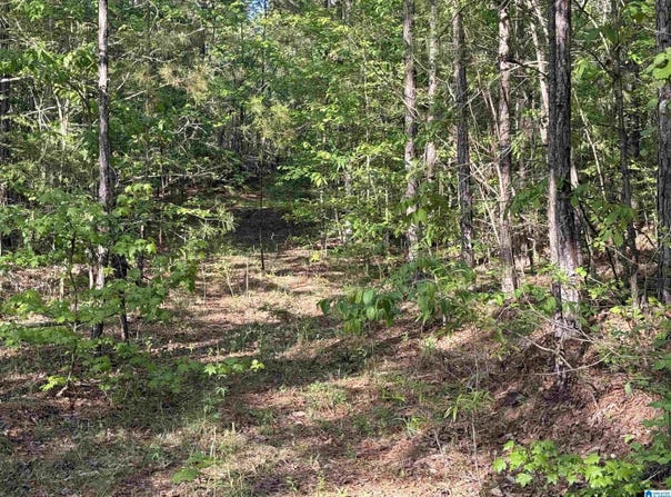PINEY WOODS ROAD lot: 3, VINCENT, AL 35178