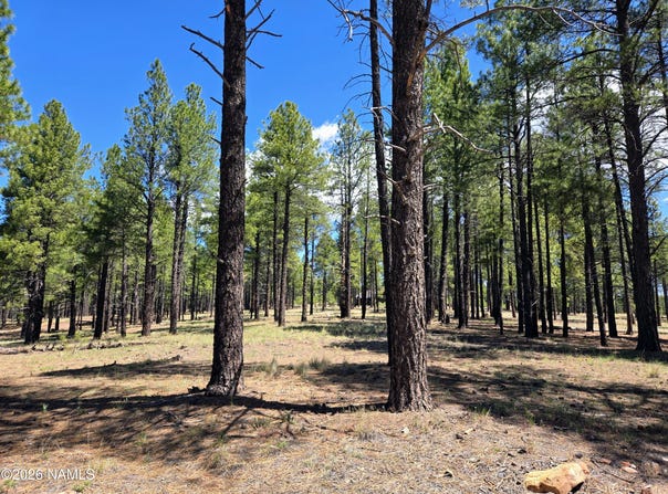 4611 E Monroe Street, Flagstaff, AZ 86004