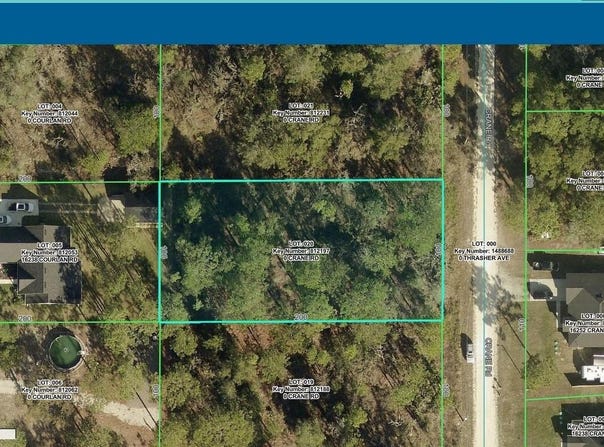 16255 CRANE Road, WEEKI WACHEE, FL 34614