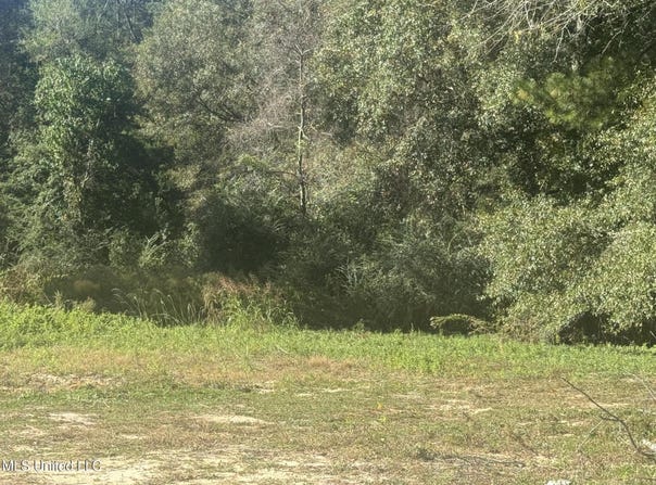 No E Integrity Road lot: 11, McComb, MS 39648