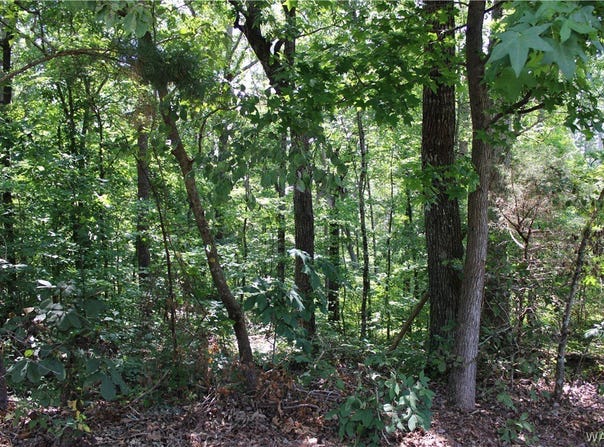 Oak Forest Drive, McCalla, AL 35111