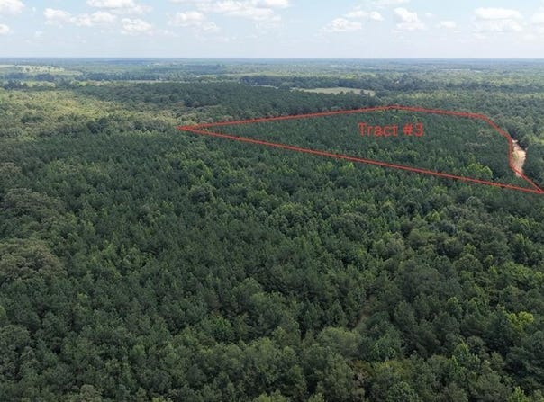 Tract 3 CR 4320, DeKalb, TX 75559