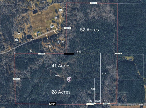 Coleman Road 41 Acres, Robert, LA 70455