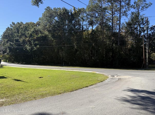 Martin Bluff lot: 99, Gautier, MS 39553