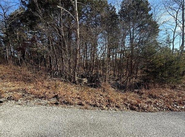 Sassafras Dr, Hillsboro, MO 63050