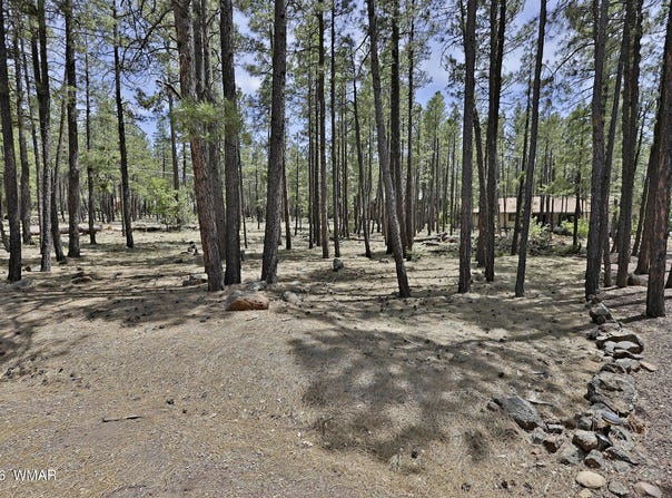 2682 Brahma Circle, Pinetop, AZ 85935
