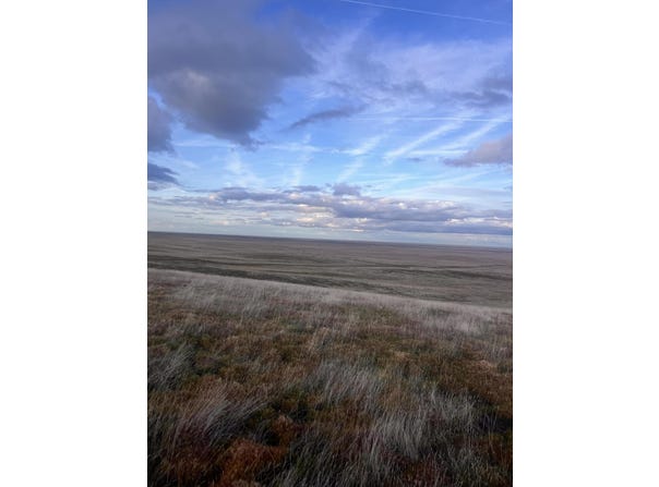 Kings Rd, Lost Hill, CA 93249