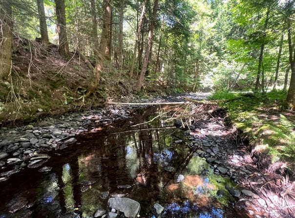 1.1 Trout Run Dr, Altmar, NY 13302