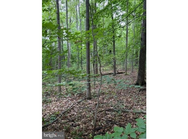 15413 DRUMMERS LN, ORANGE, VA 22960
