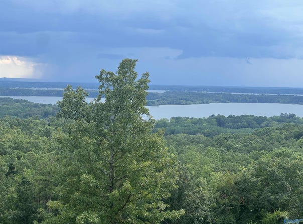 County Road 767 lot: 40, Cedar Bluff, AL 35959