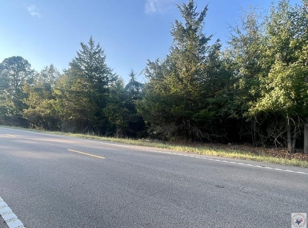 Highway 160, Doddridge, AR 71834