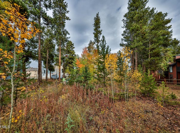 870 Ferret Lane, Fraser, CO 80442