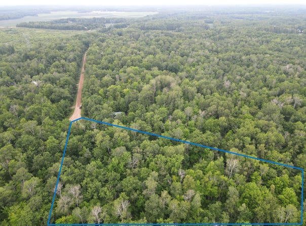 Woodpecker Lane, Sandstone, MN 55072