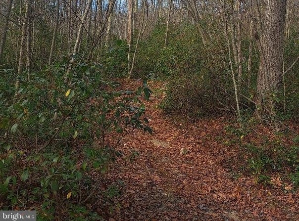 FOX TAIL Road, OAKLAND, MD 21550