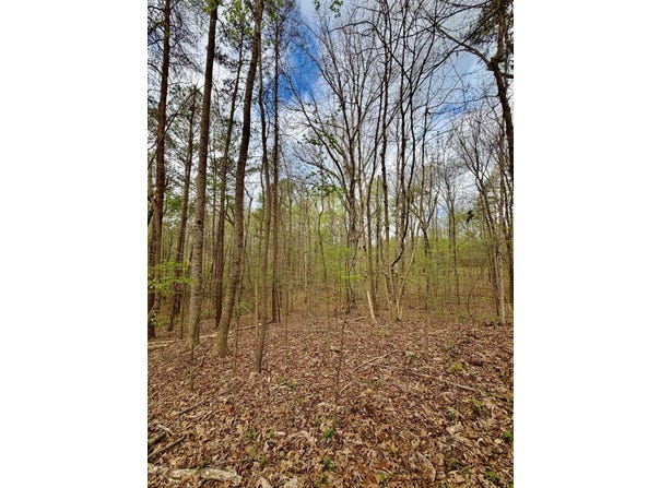 WIND ROW Ln, Bremen, AL 35033