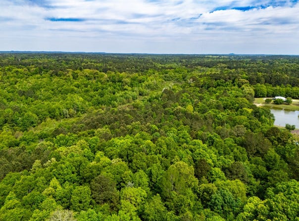TBD White Oak Rd, Gladewater, TX 75647