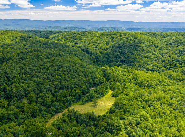 2673 Raines Rd, Wolfcreek, WV 24983